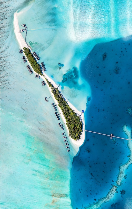 Ithaa Undersea Restaurant at Conrad Maldives Rangali Island thumbnail 3